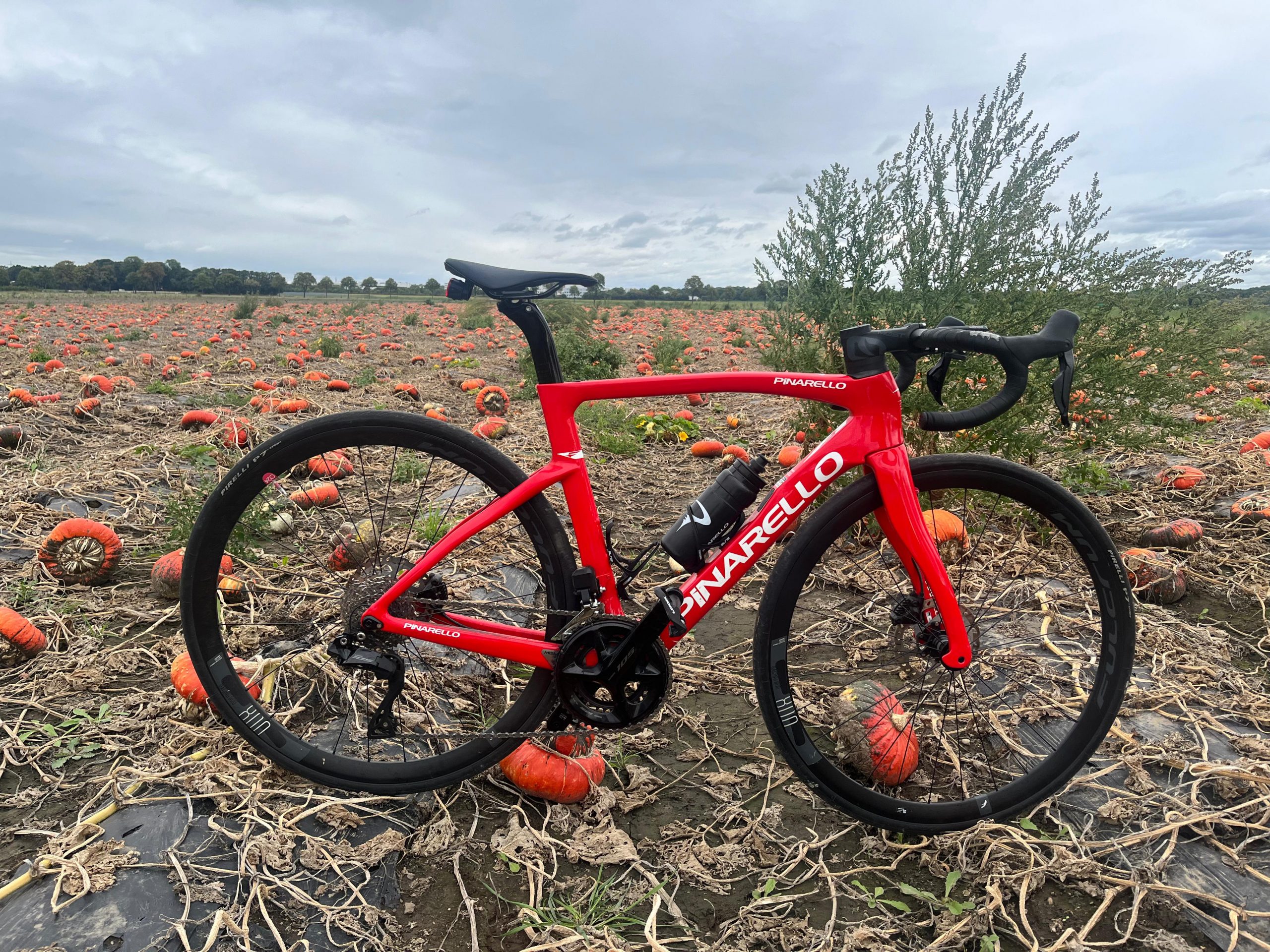 Pinarello F5 – ein Traum aus Carbon für Performance-Liebhaber